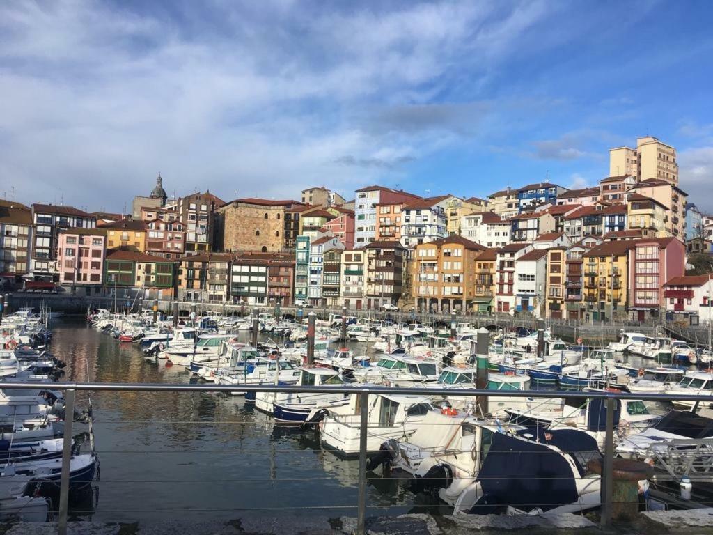 Apartamentos Urdaibai 2 Bermeo Ngoại thất bức ảnh